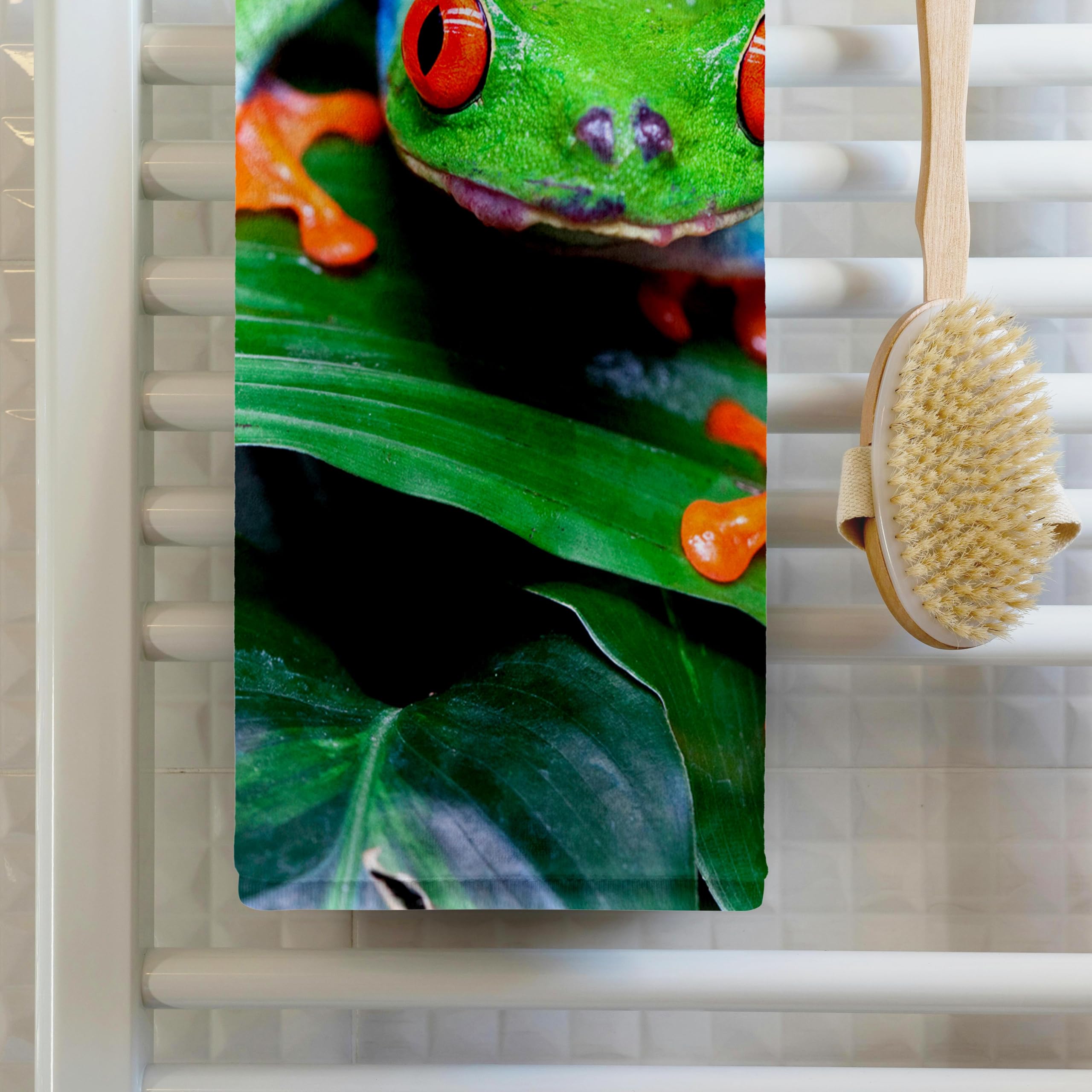 Amazon.com: 3D Rose TWL_229313_1 Red Eyed Tree Frog - Agalychnis